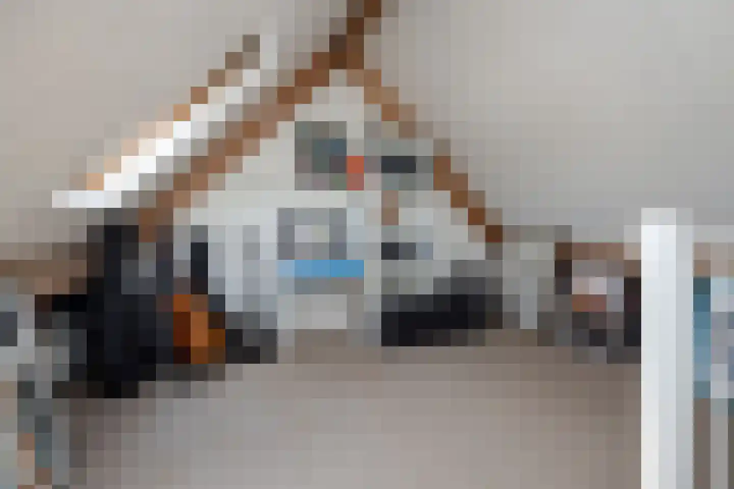 Laurier 4 Hoogkarspel thumbnail 24
