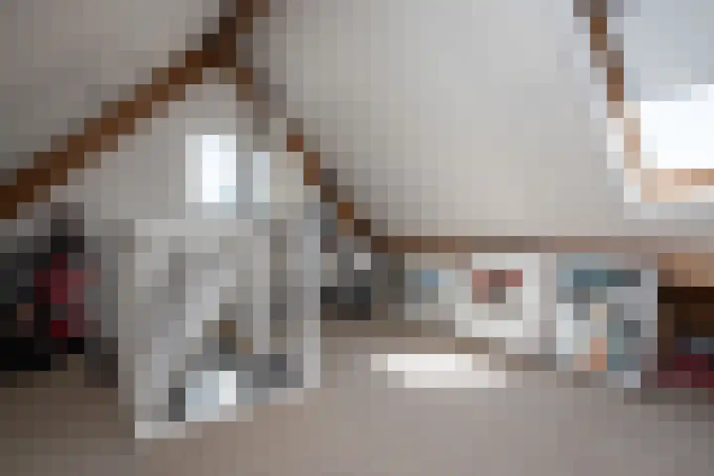 Laurier 4 Hoogkarspel thumbnail 25