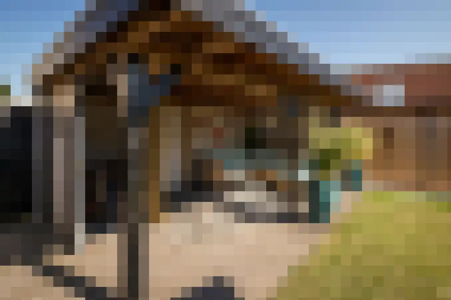 Laurier 4 Hoogkarspel thumbnail 26