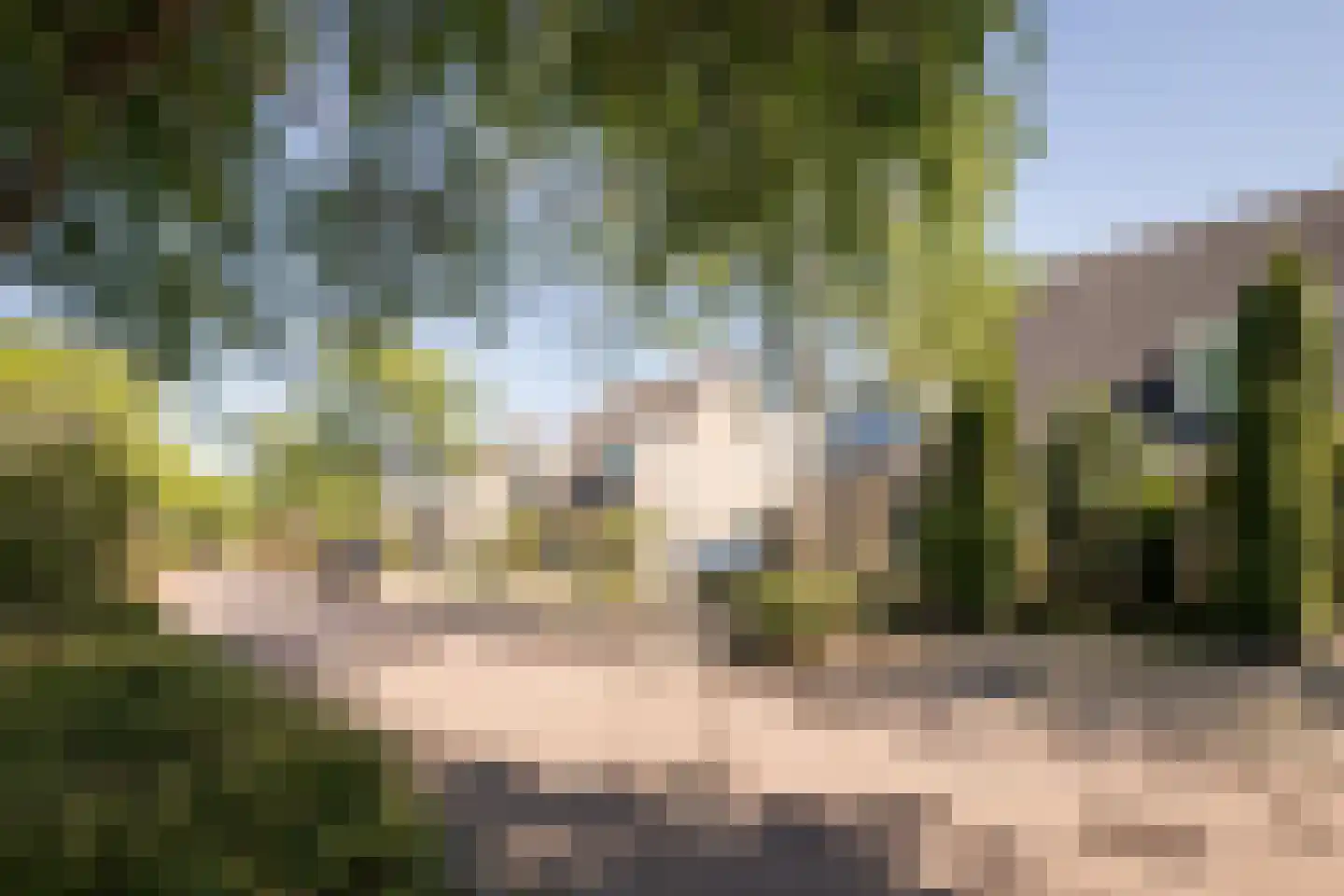 Laurier 4 Hoogkarspel thumbnail 34