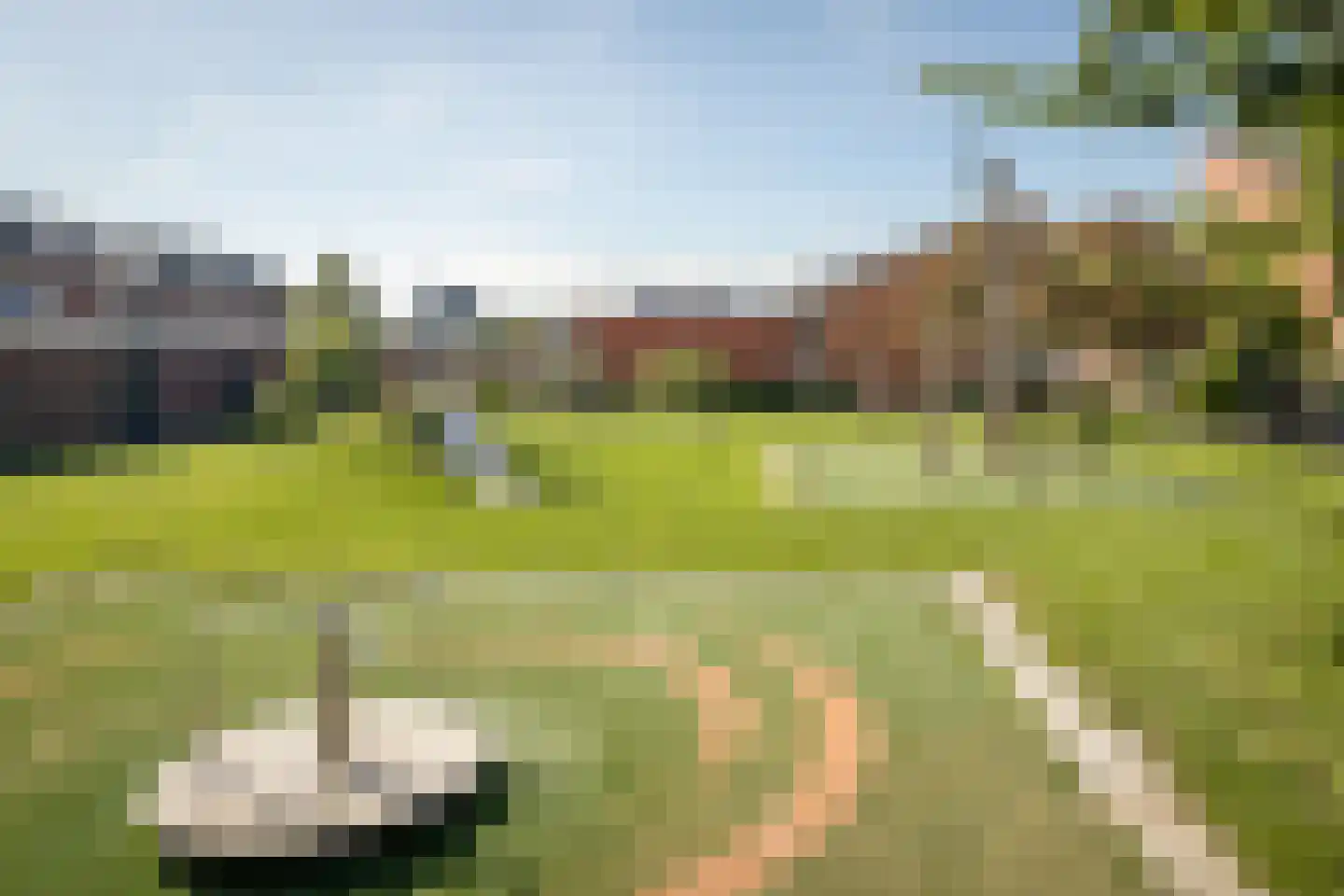 Laurier 4 Hoogkarspel thumbnail 37