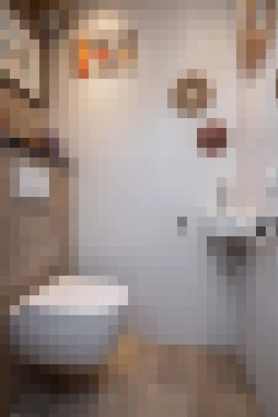 Laurier 4 Hoogkarspel thumbnail 44