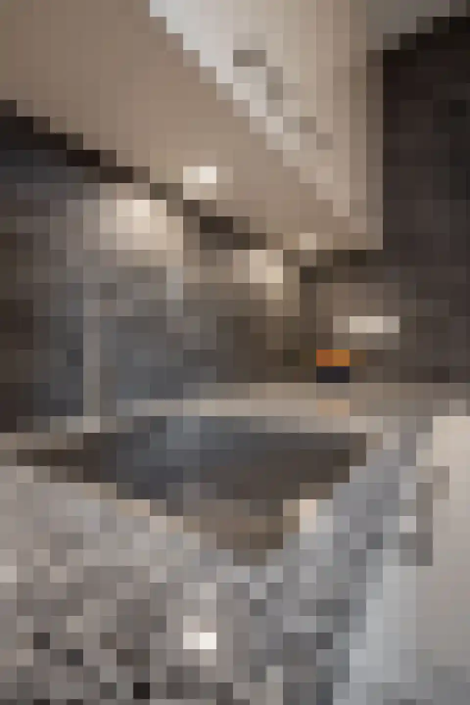 Laurier 4 Hoogkarspel thumbnail 45