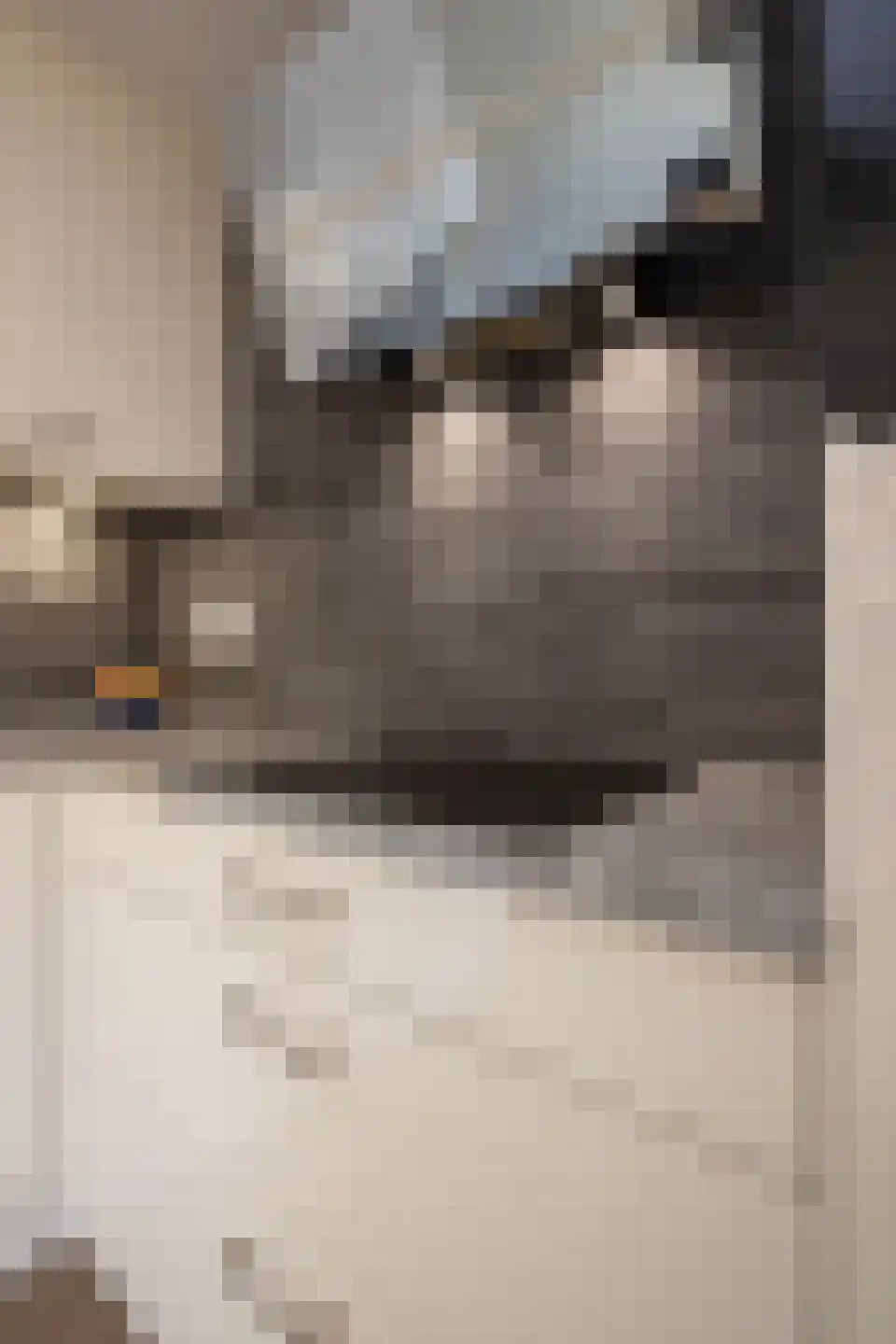Laurier 4 Hoogkarspel thumbnail 46