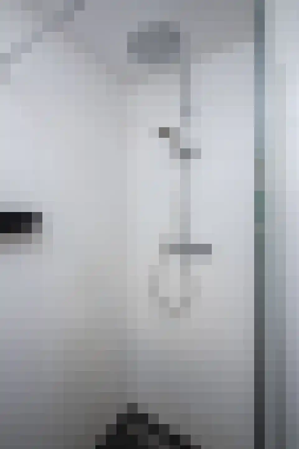 Laurier 4 Hoogkarspel thumbnail 48