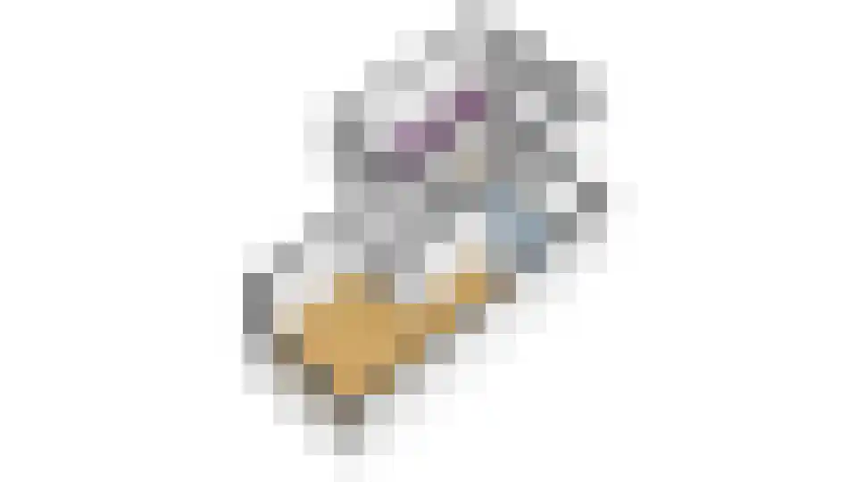 Laurier 4 Hoogkarspel thumbnail 51