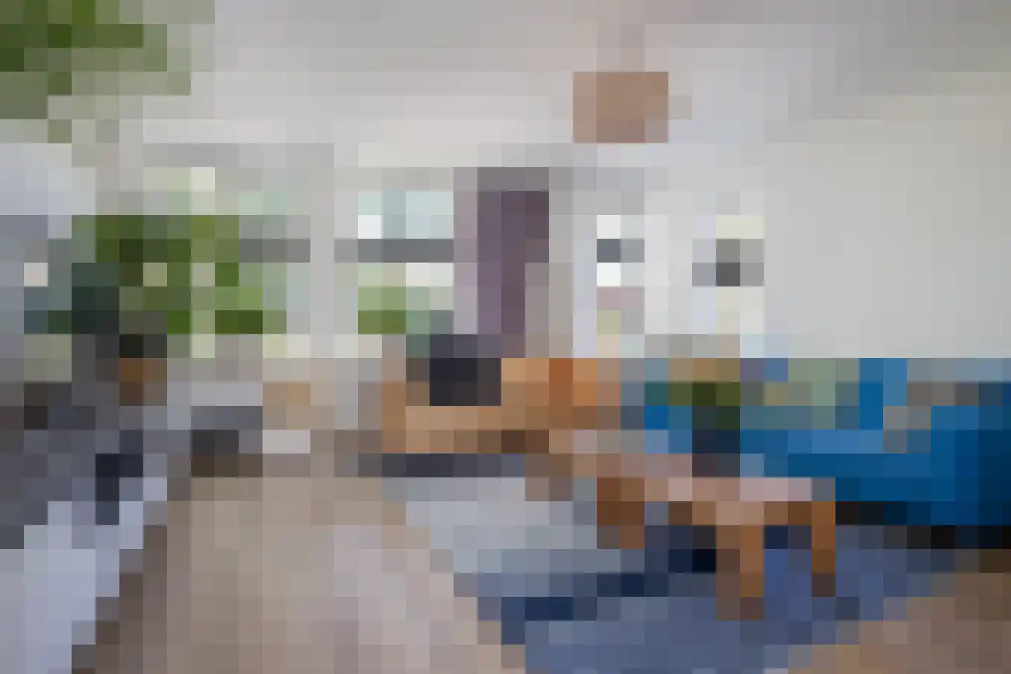 Laurier 4 Hoogkarspel thumbnail 9