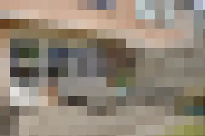 Laurier 43 Hoogkarspel thumbnail 14