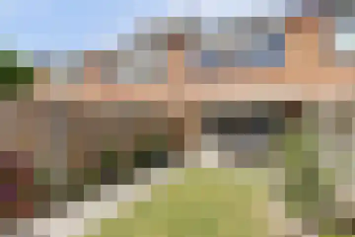 Laurier 43 Hoogkarspel thumbnail 17