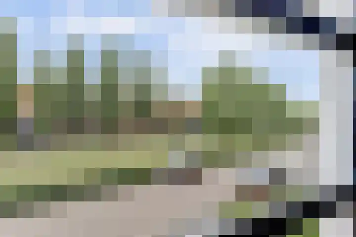 Laurier 43 Hoogkarspel thumbnail 27