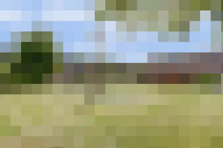 Laurier 43 Hoogkarspel thumbnail 35