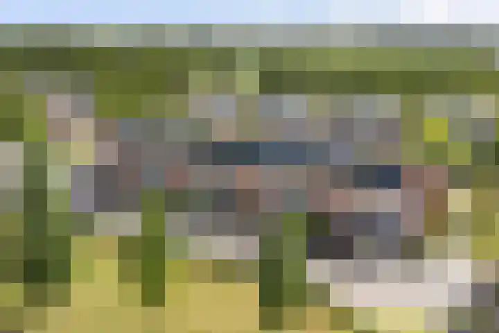 Laurier 43 Hoogkarspel thumbnail 4