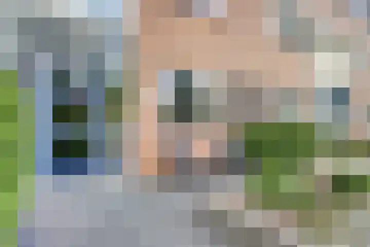 Laurier 43 Hoogkarspel thumbnail 5