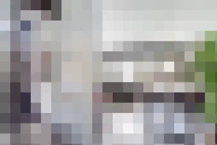 Laurier 43 Hoogkarspel thumbnail 8