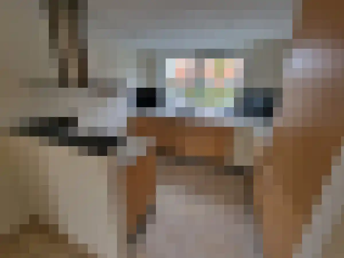 Laurier 45 Hoogkarspel thumbnail 5