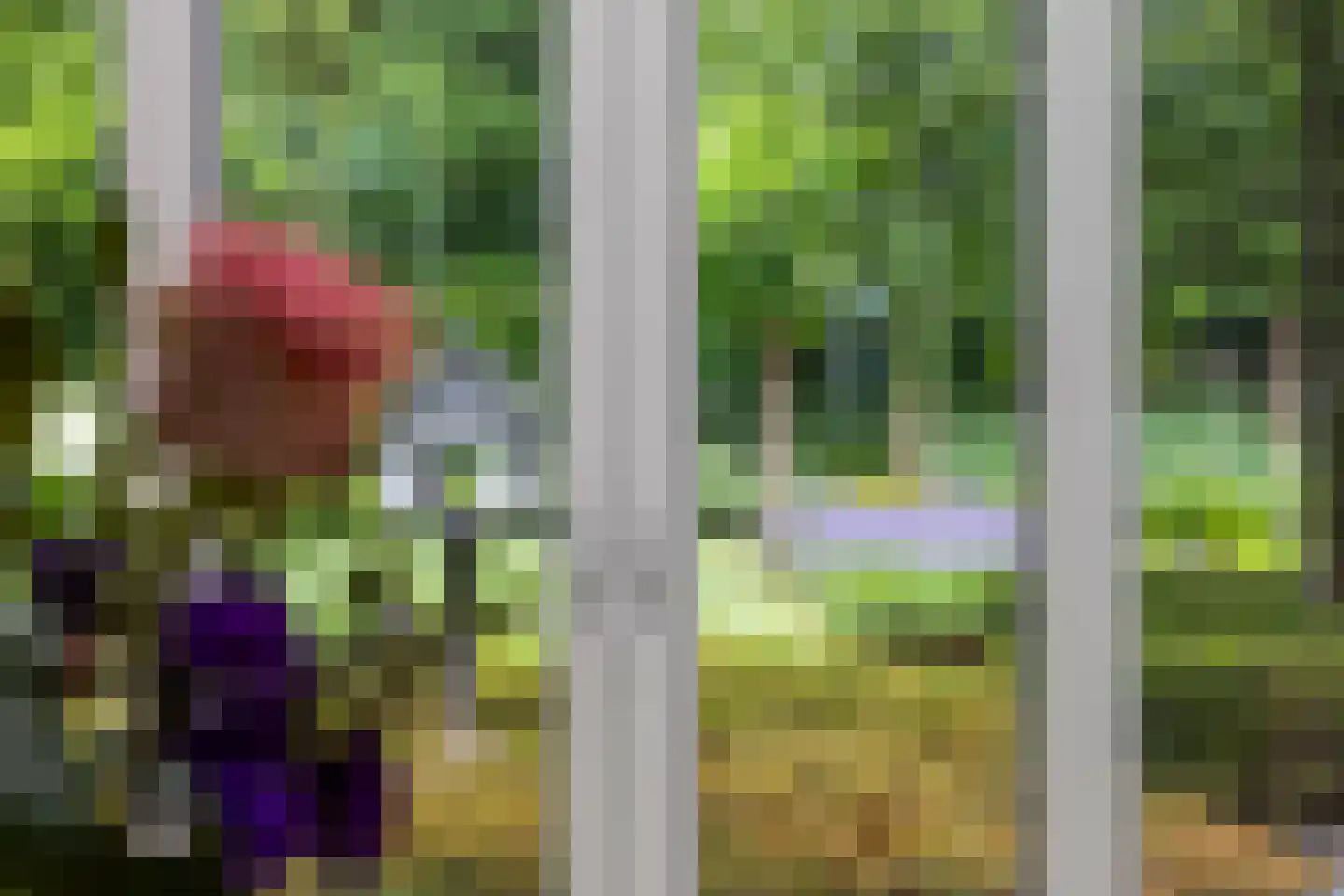 Laurier 5 Valkenswaard thumbnail 13