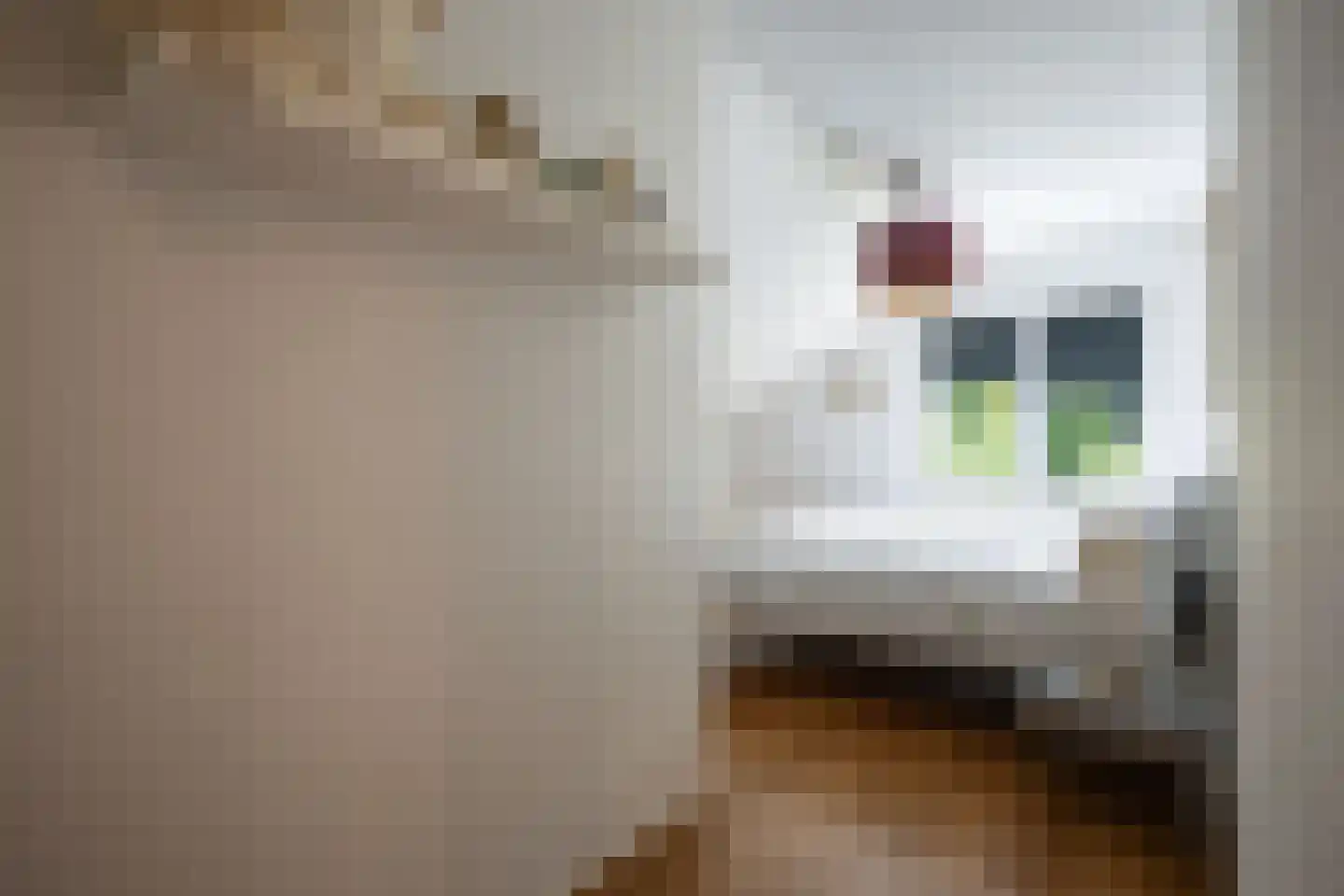 Laurier 5 Valkenswaard thumbnail 32