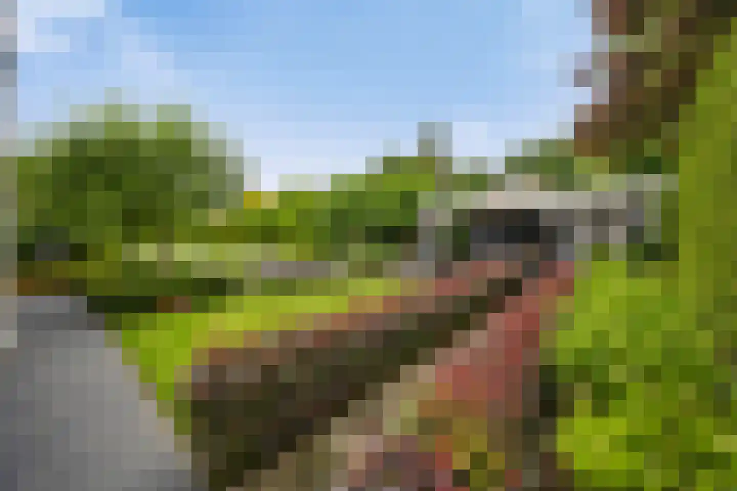 Laurier 5 Valkenswaard thumbnail 4