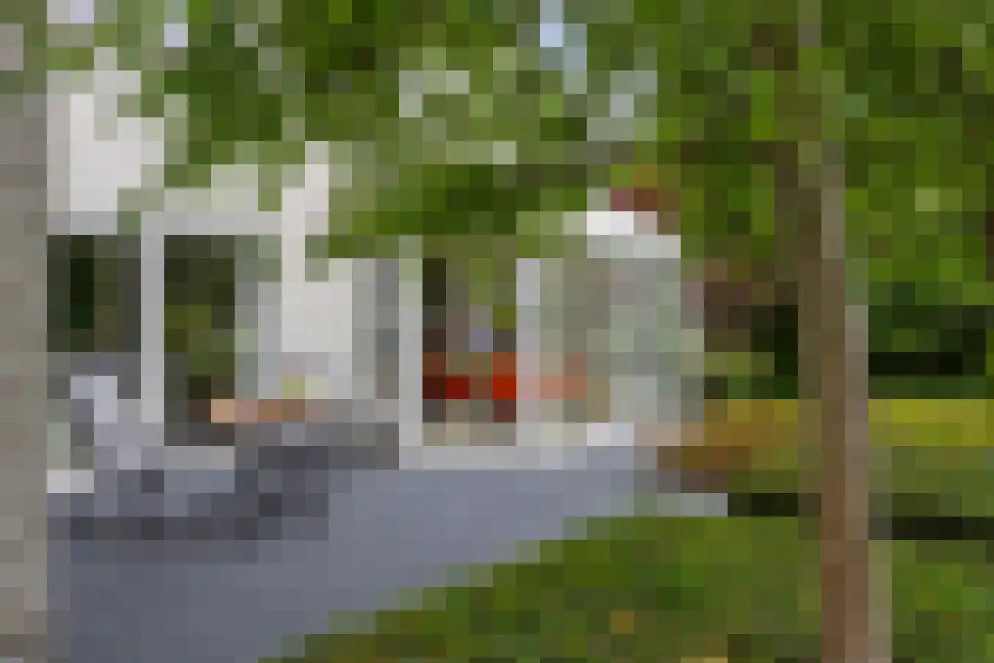 Laurier 5 Valkenswaard thumbnail 46
