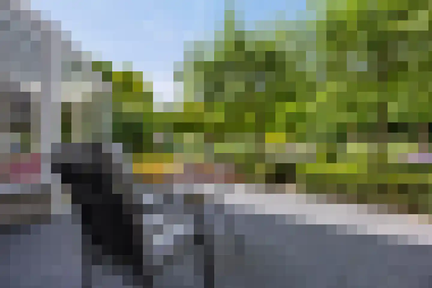 Laurier 5 Valkenswaard thumbnail 47