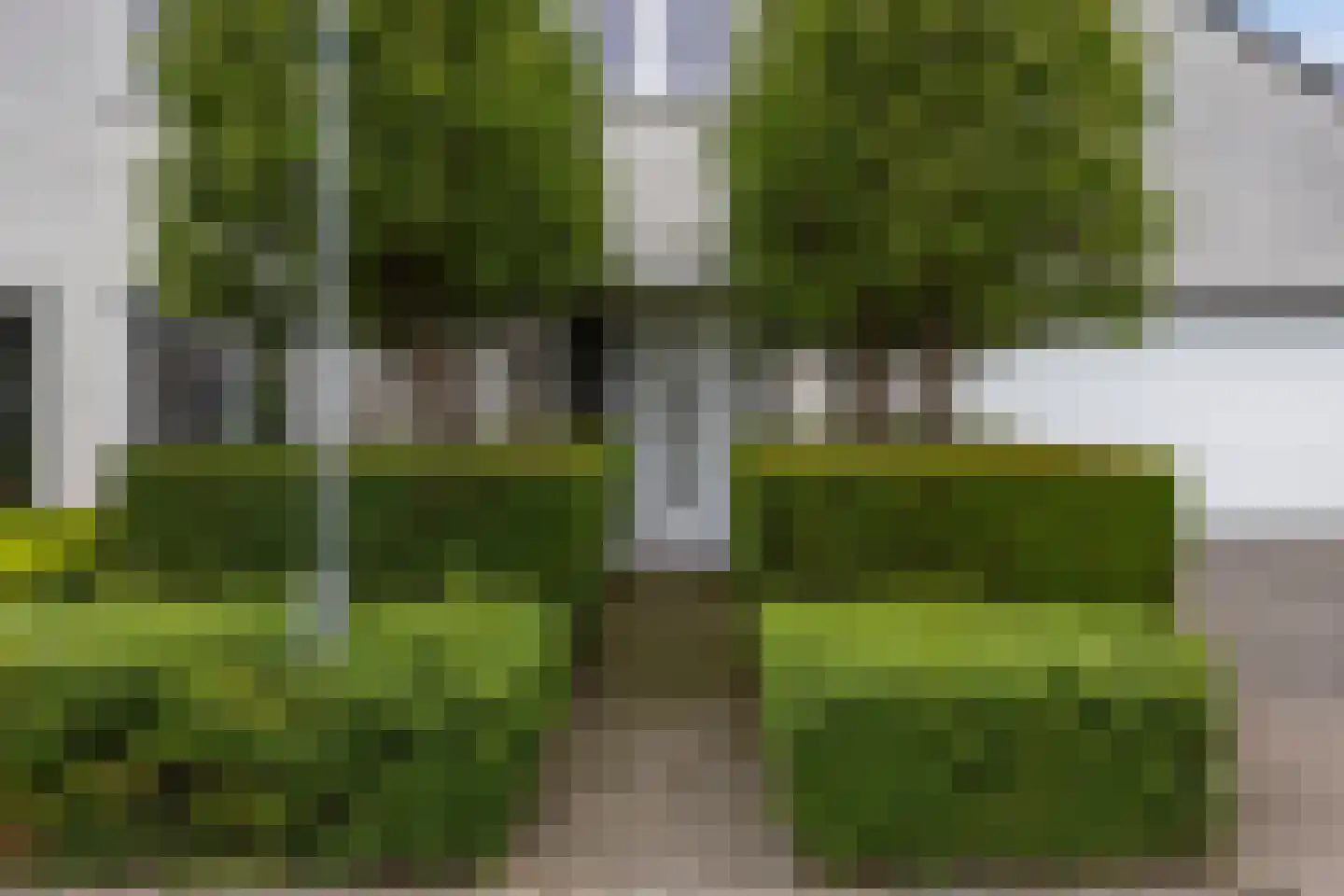 Laurier 5 Valkenswaard thumbnail 5