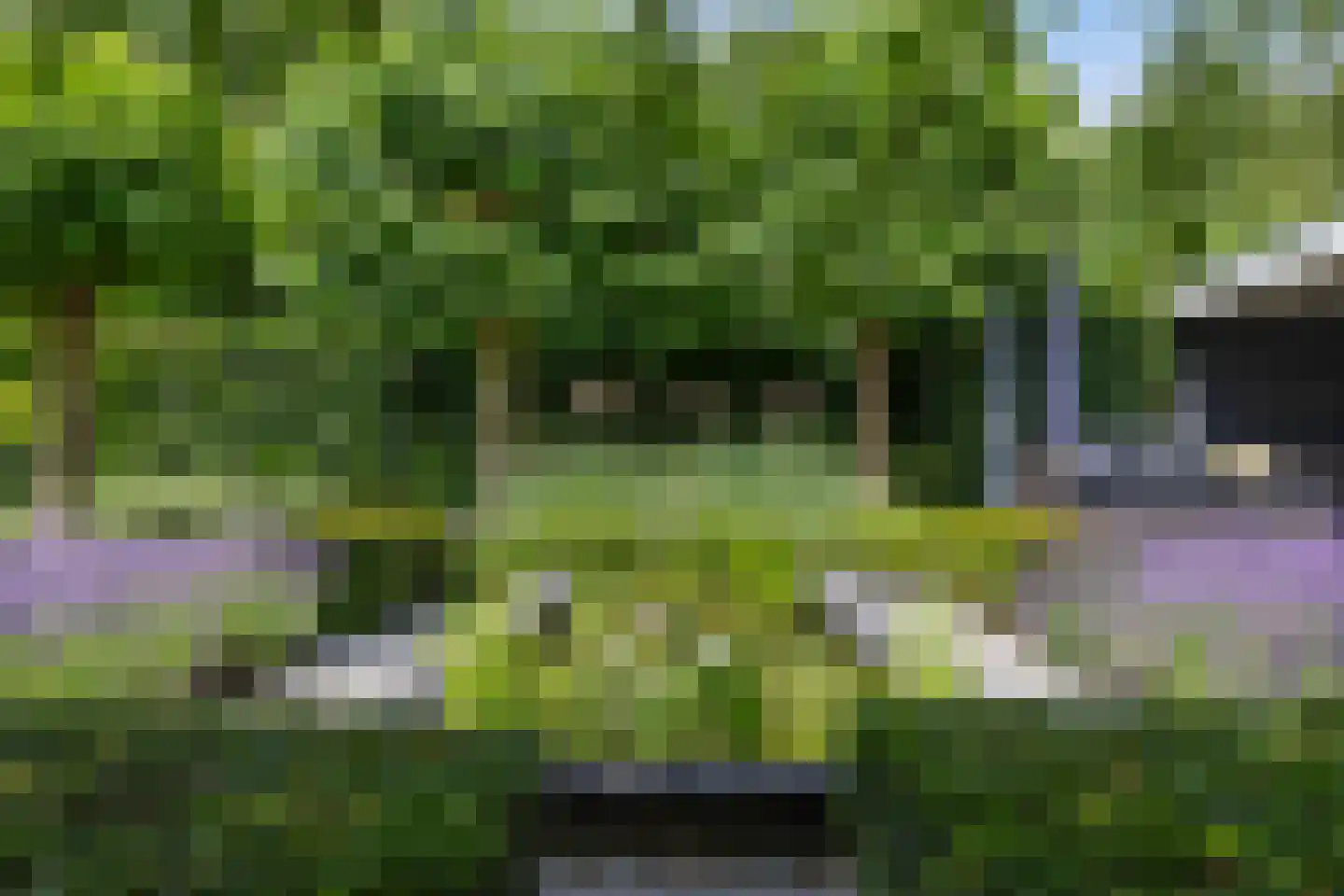 Laurier 5 Valkenswaard thumbnail 53
