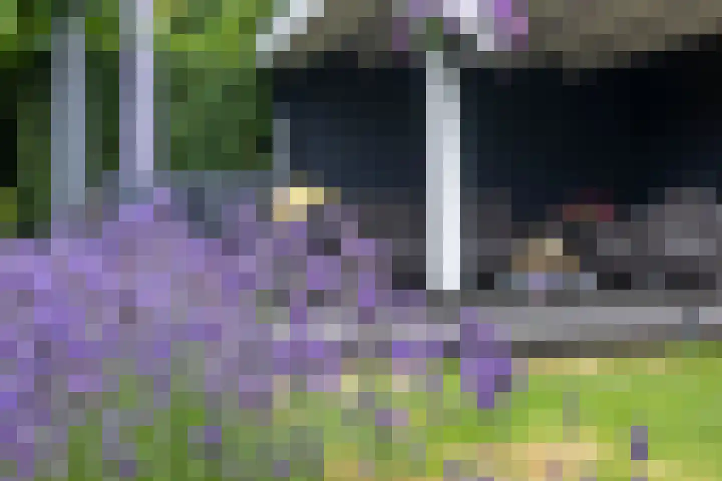 Laurier 5 Valkenswaard thumbnail 54