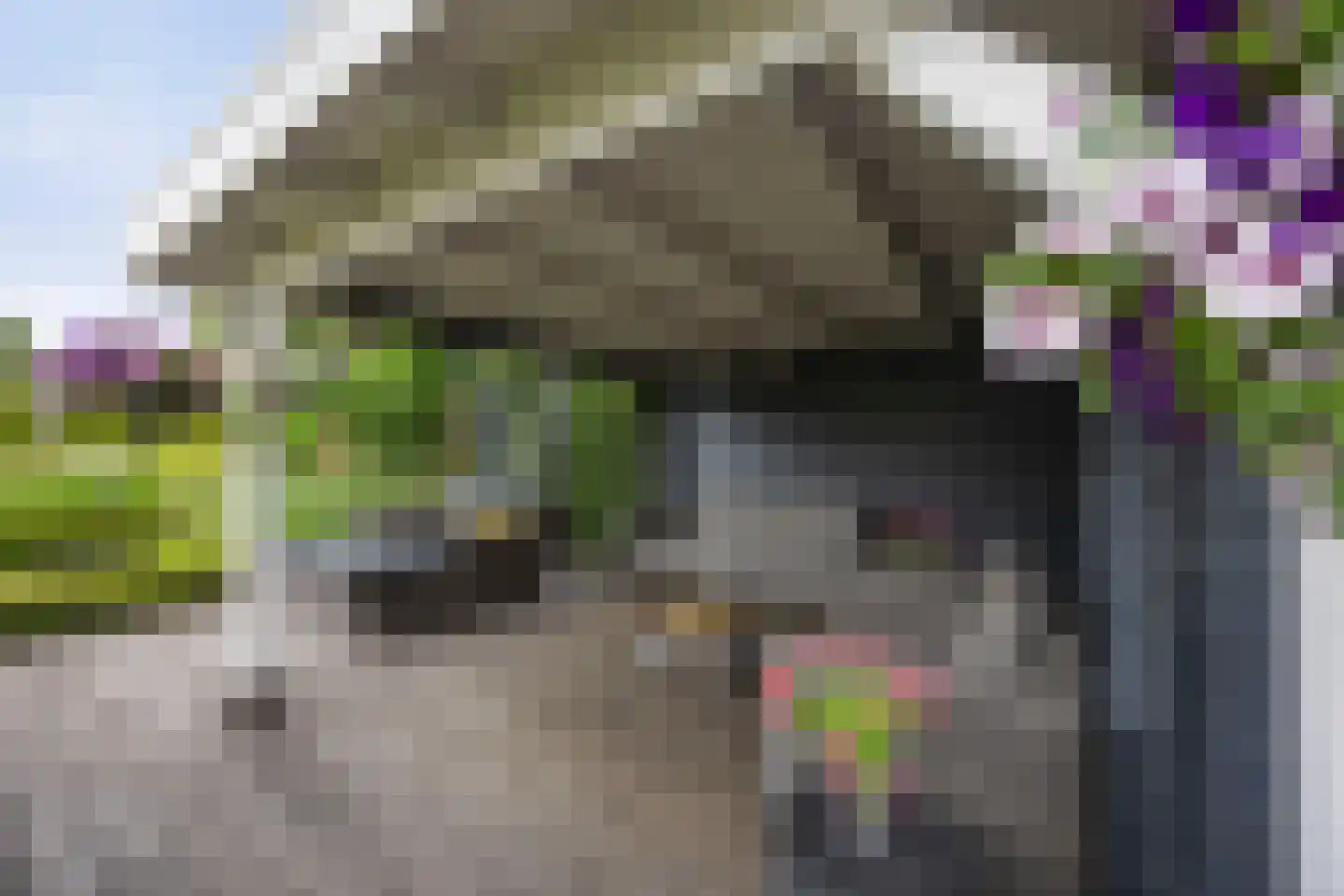 Laurier 5 Valkenswaard thumbnail 56