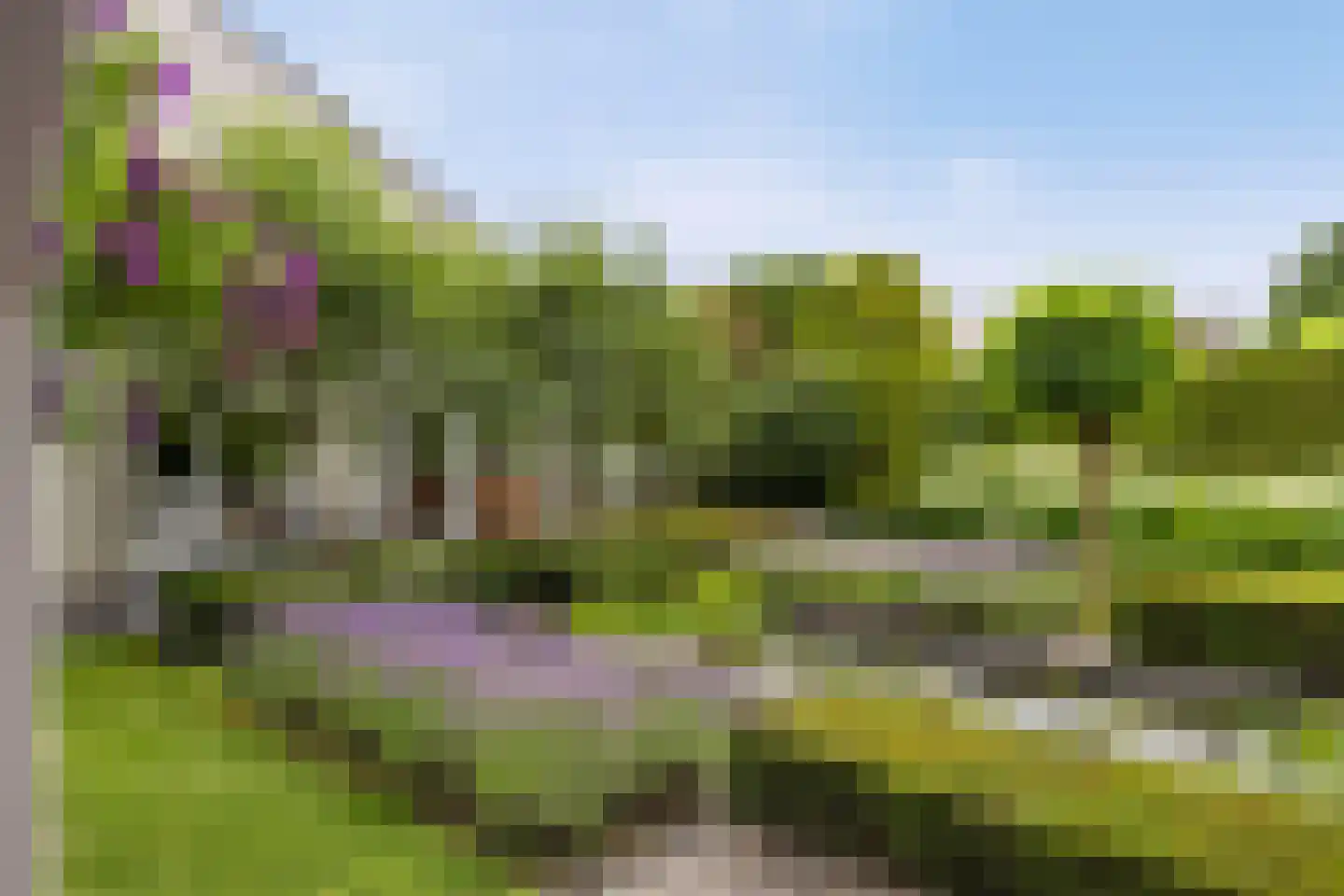 Laurier 5 Valkenswaard thumbnail 57