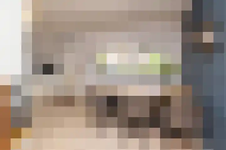 Laurier 76 Hoogkarspel thumbnail 10