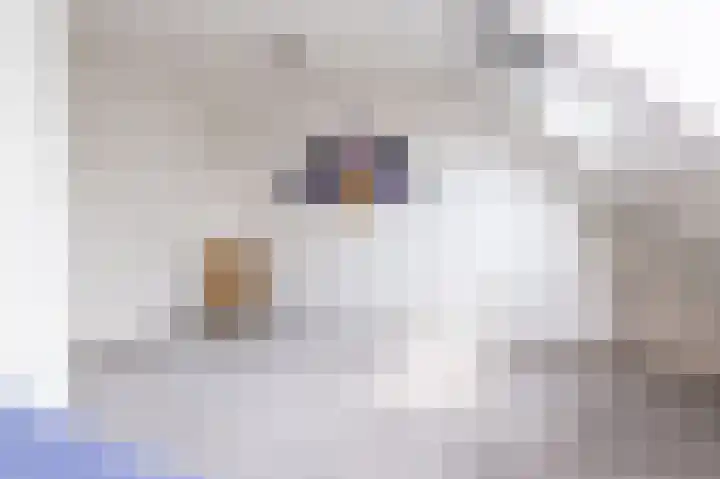 Laurier 76 Hoogkarspel thumbnail 19