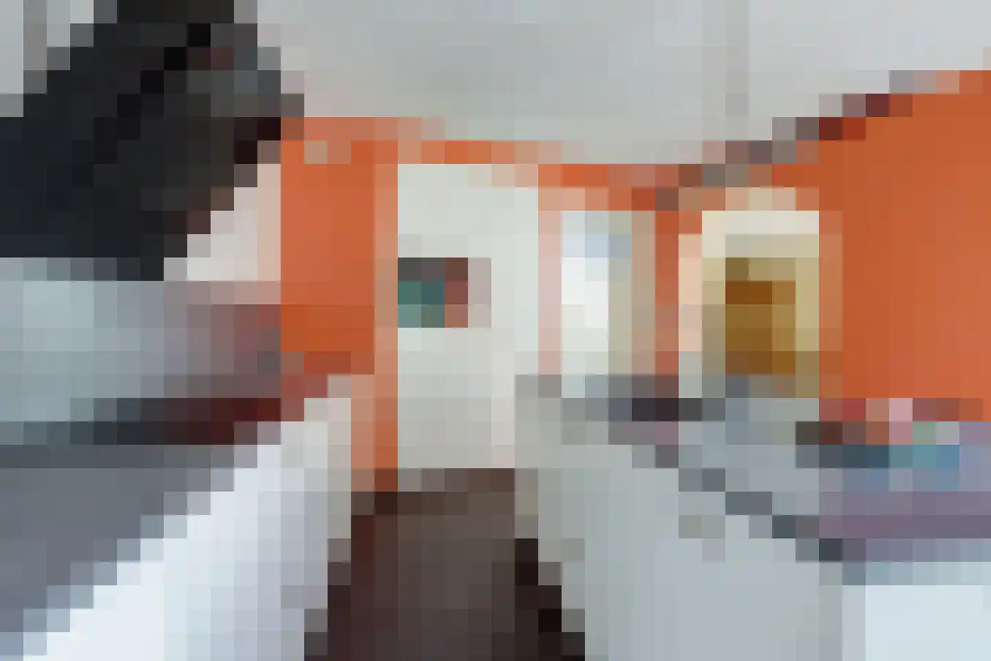 Laurierberg 13 a Roosendaal thumbnail 12