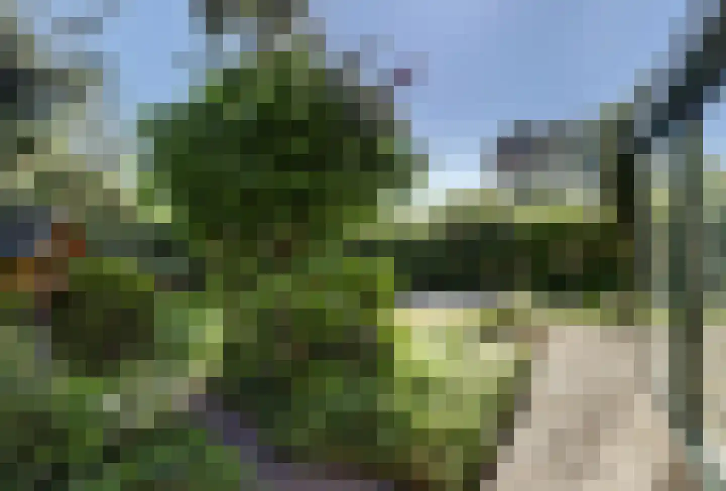 Laurierberg 13 a Roosendaal thumbnail 25