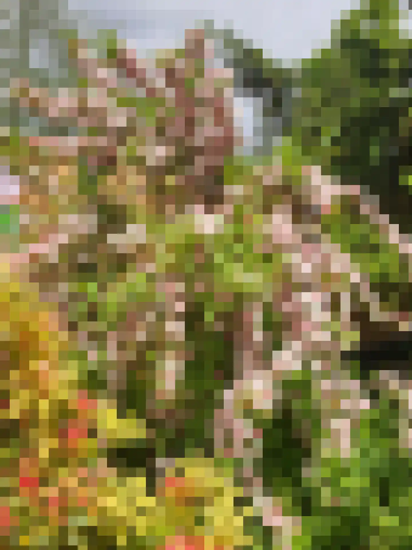 Laurierberg 13 a Roosendaal thumbnail 27