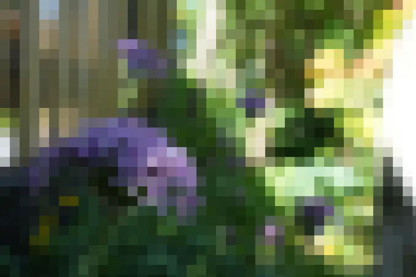 Laurierberg 13 a Roosendaal thumbnail 31