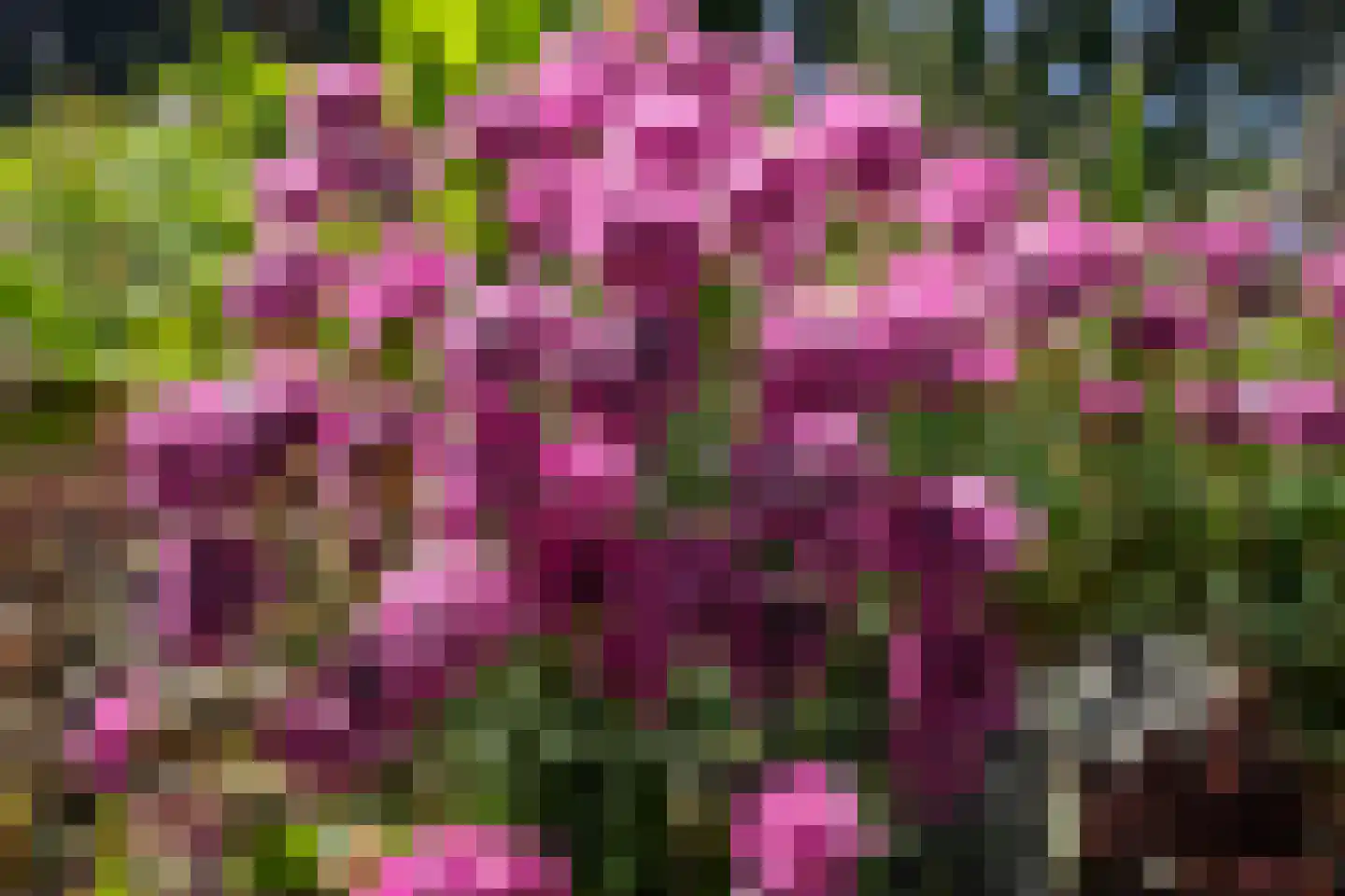 Laurierberg 13 a Roosendaal thumbnail 32
