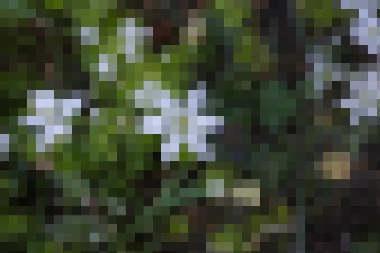Laurierberg 13 a Roosendaal thumbnail 33