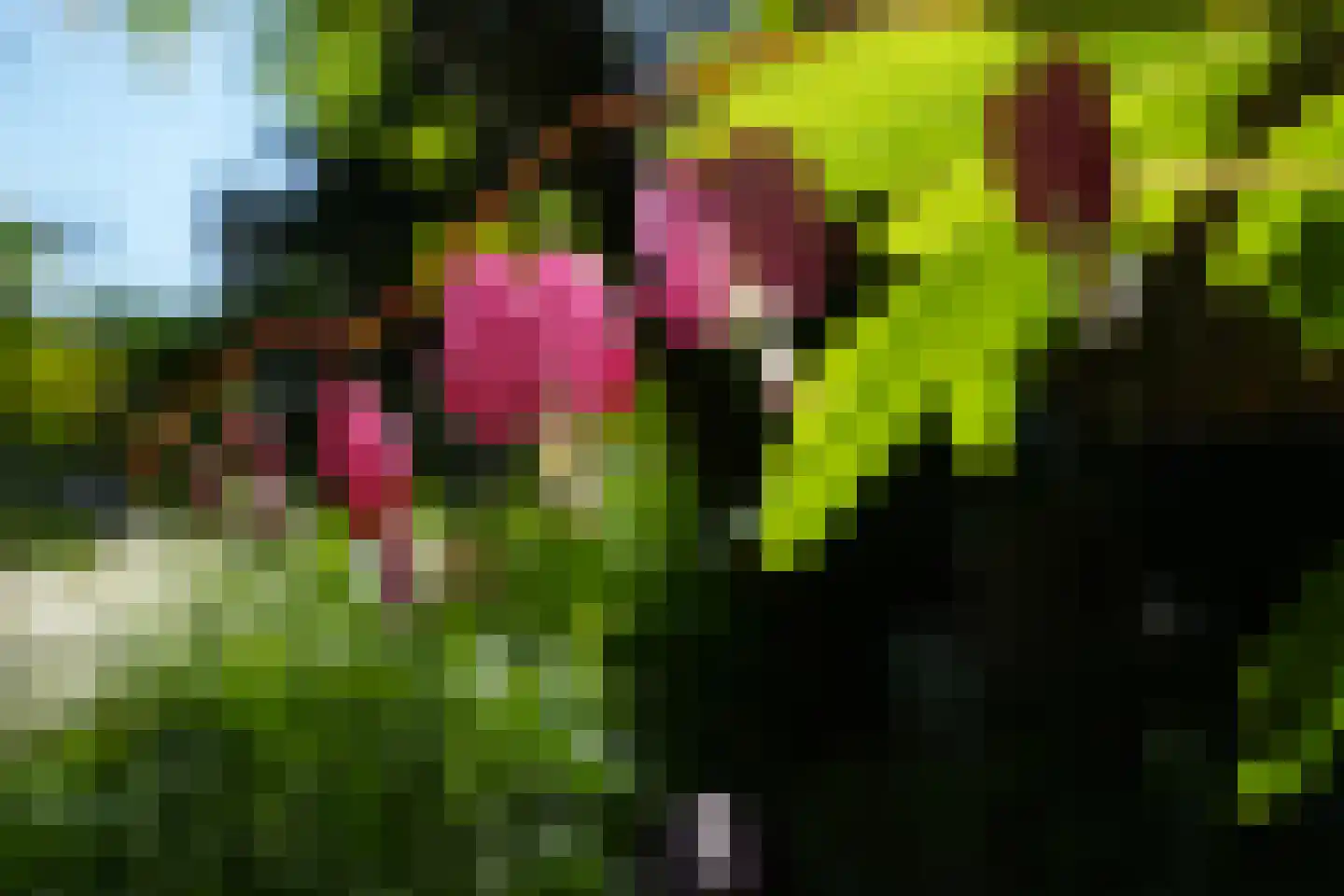 Laurierberg 13 a Roosendaal thumbnail 34