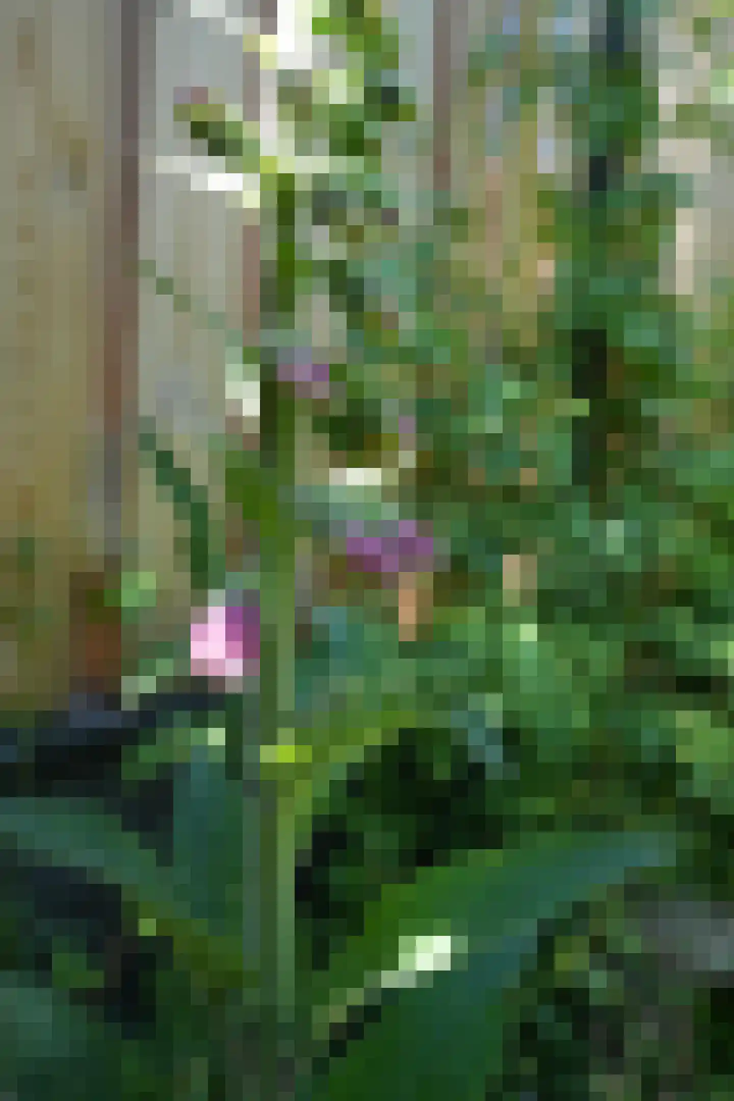 Laurierberg 13 a Roosendaal thumbnail 36