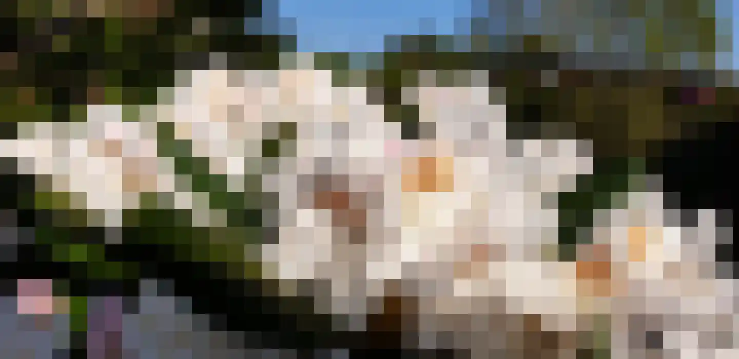 Laurierberg 13 a Roosendaal thumbnail 39