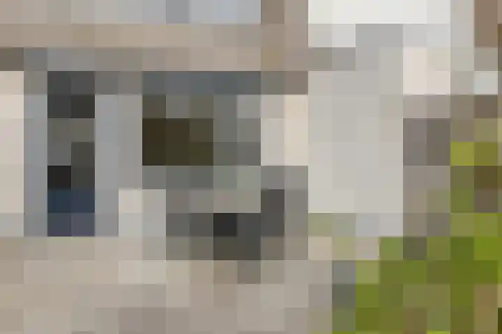 Laurierberg 61 Roosendaal thumbnail 34