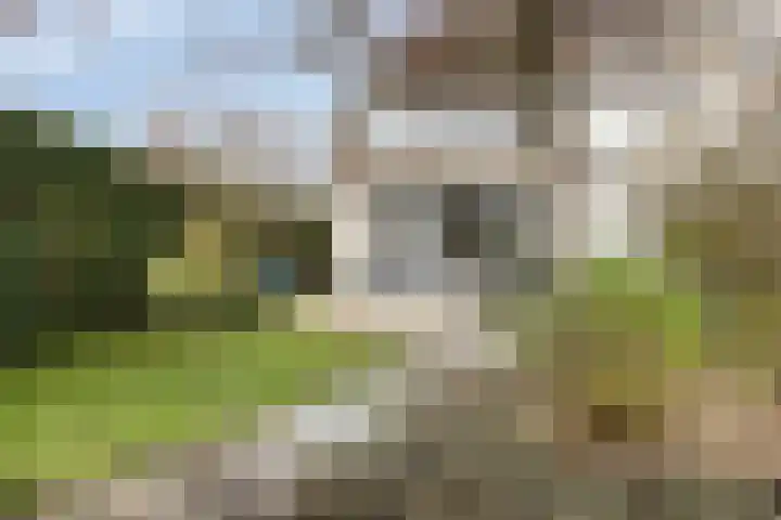 Laurierberg 61 Roosendaal thumbnail 37