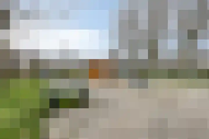 Laurierberg 61 Roosendaal thumbnail 45