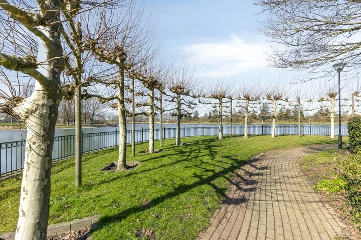 Laurierberg 61 Roosendaal thumbnail 47