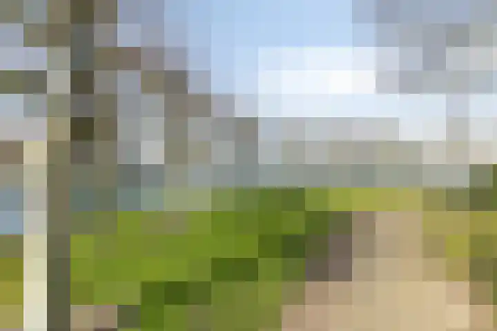 Laurierberg 61 Roosendaal thumbnail 47