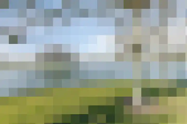 Laurierberg 61 Roosendaal thumbnail 48