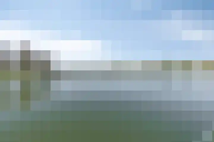 Laurierberg 61 Roosendaal thumbnail 49
