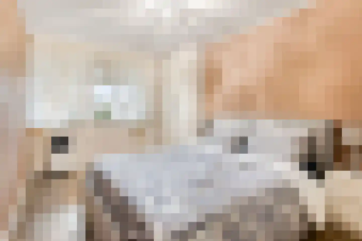 Laurierdonk 18 Spijkenisse thumbnail 16