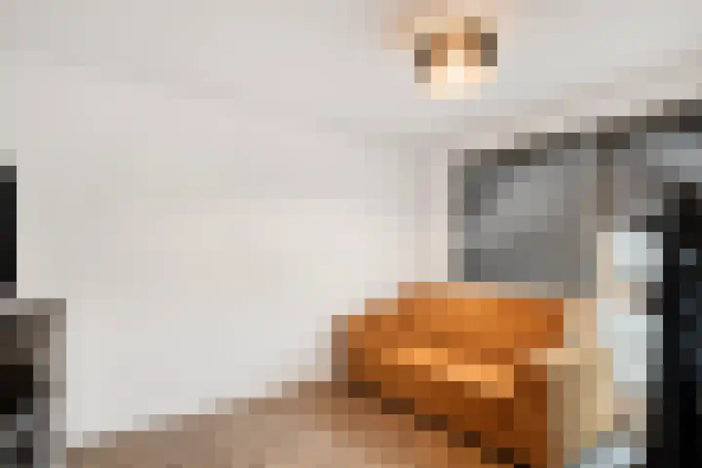 Laurierdonk 18 Spijkenisse thumbnail 20