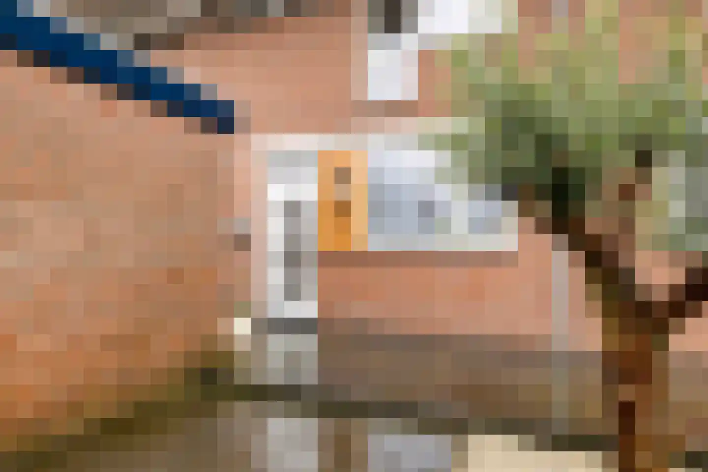 Laurierdonk 18 Spijkenisse thumbnail 30